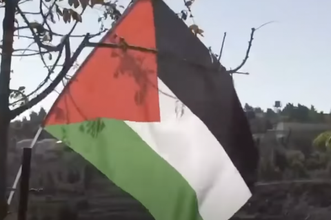For First Time Ever, Gallup Survey Shows Dems Support Palestine More